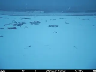 2024/03/01 16:30:02