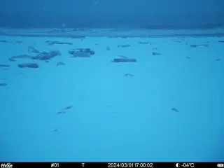 2024/03/01 17:00:02