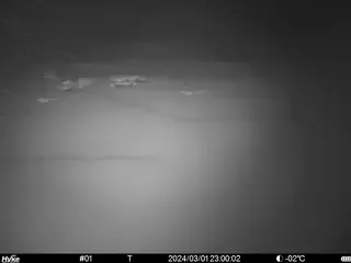 2024/03/01 23:00:02