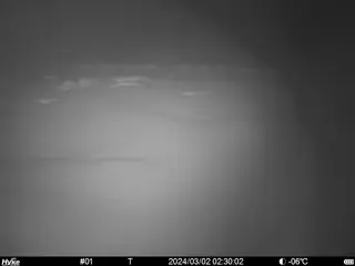 2024/03/02 02:30:02