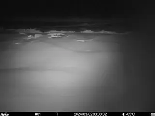 2024/03/02 03:30:02