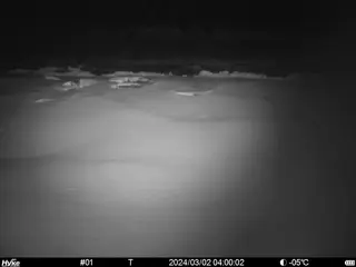 2024/03/02 04:00:02