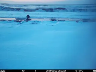 2024/03/02 06:00:01
