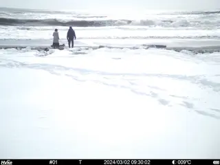 2024/03/02 09:30:02