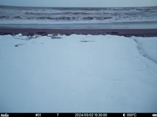2024/03/02 13:30:00