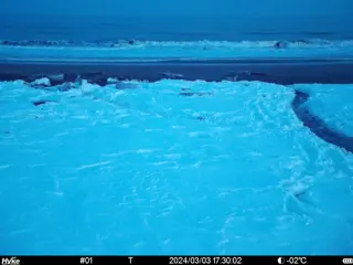 2024/03/03 17:30:02