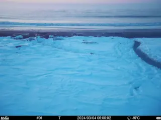 2024/03/04 06:00:02