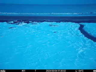 2024/03/04 17:30:02