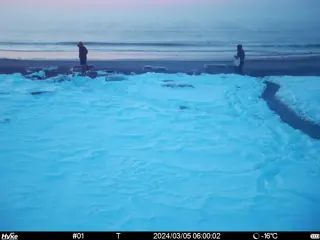 2024/03/05 06:00:01