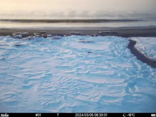 2024/03/05 06:30:01