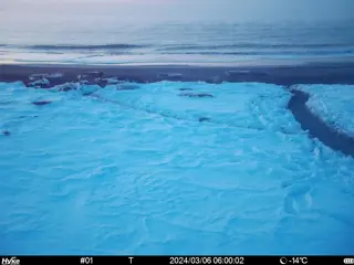 2024/03/06 06:00:02
