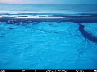 2024/03/07 05:30:02