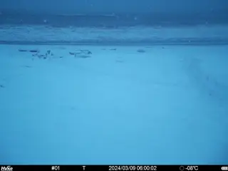 2024/03/09 06:00:01