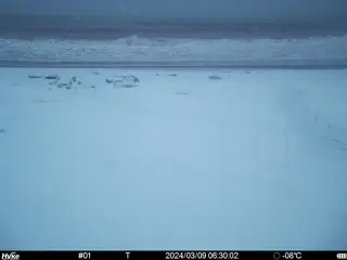 2024/03/09 06:30:02