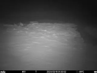 2024/03/10 01:30:02