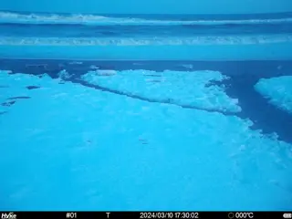 2024/03/10 17:30:02