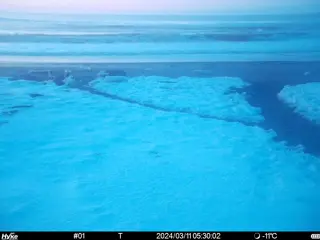 2024/03/11 05:30:02