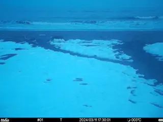 2024/03/11 17:30:01