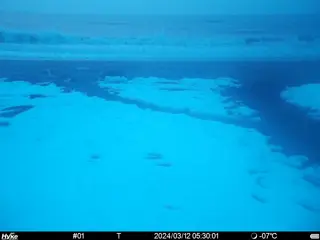 2024/03/12 05:30:01