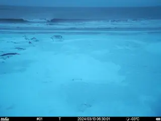 2024/03/13 06:30:01
