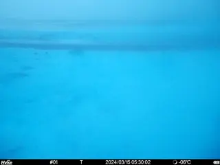 2024/03/15 05:30:02