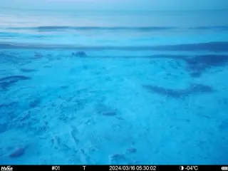 2024/03/16 05:30:01