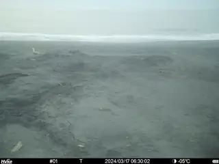 2024/03/17 06:30:02