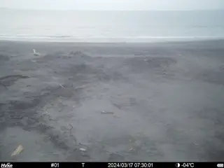 2024/03/17 07:30:01