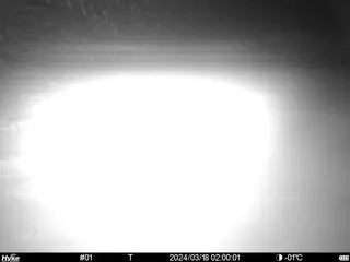 2024/03/18 02:00:00