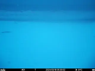 2024/03/18 05:30:01