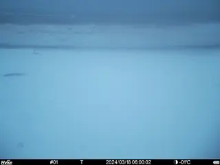 2024/03/18 06:00:02