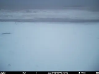 2024/03/18 06:30:02