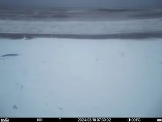 2024/03/18 07:30:02