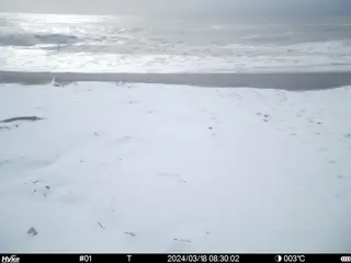 2024/03/18 08:30:02
