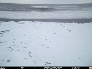 2024/03/18 10:00:01