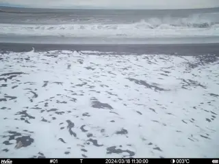 2024/03/18 11:30:00