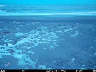 2024/03/18 17:30:02