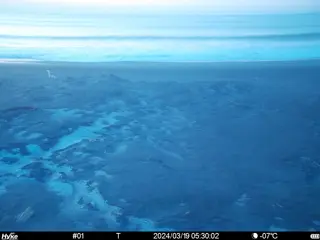 2024/03/19 05:30:02