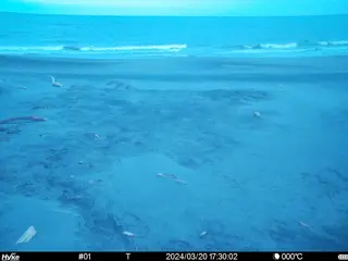 2024/03/20 17:30:02