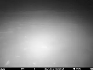 2024/03/24 02:00:01