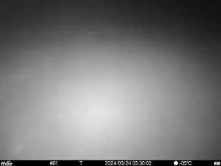 2024/03/24 03:30:02