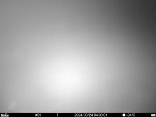 2024/03/24 04:00:01