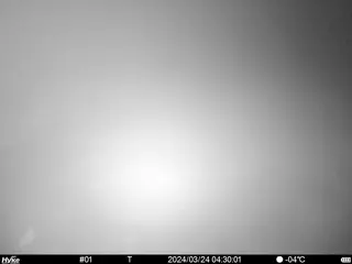 2024/03/24 04:30:01