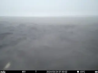 2024/03/24 07:30:02