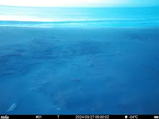 2024/03/27 05:00:01