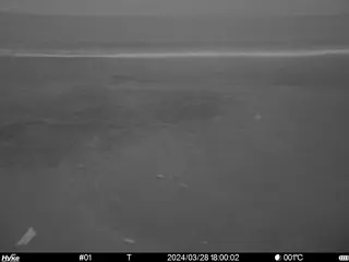 2024/03/28 18:00:02