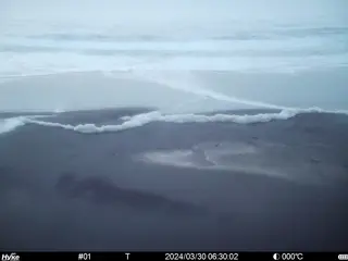 2024/03/30 06:30:02