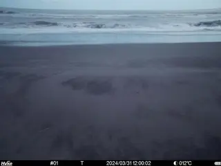 2024/03/31 12:00:02