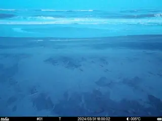2024/03/31 18:00:02
