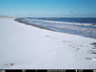 2024/01/01 12:00:01